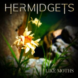 Hermidgets – Like Moths single cover