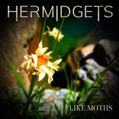 Hermidgets – Like Moths single cover