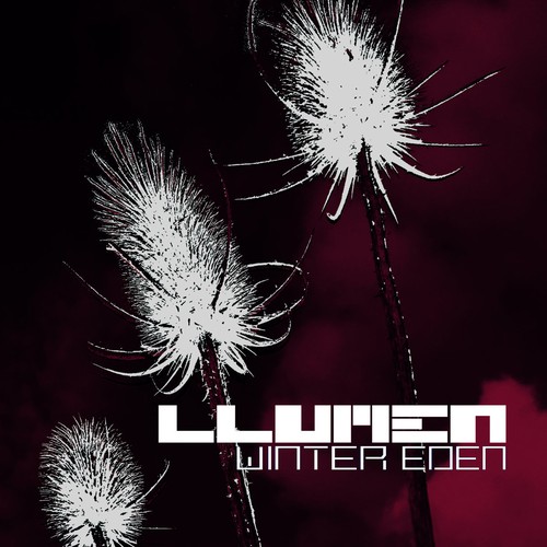 LLUMEN – Winter Eden: white, frost-like teasel seed heads on tall stems against a dark crimson sky, with the LLUMEN logo and the album title in blocky white lettering at the lower right