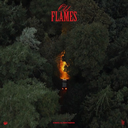 La Roux – Old Flames cover: an aerial view of a dark green forest with a single car and a burst of orange fire on the road below, and the title Old Flames in red at the top